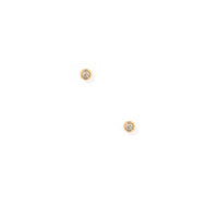 Linny Co. Cooper Screwback Stud Earrings