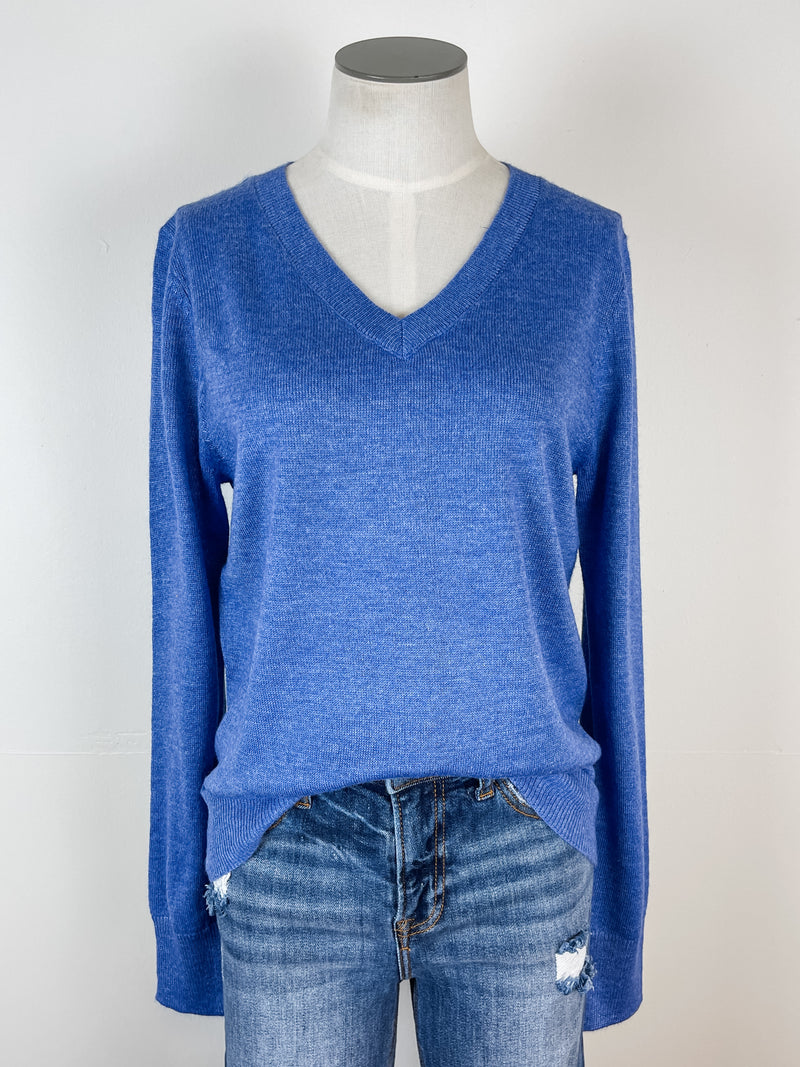 Parker Basic V Neck Sweater in Blue