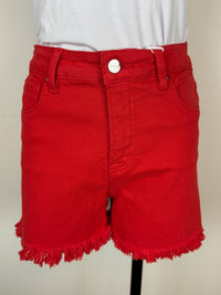 Risen Juliette Tummy Control High Rise Short in Fiesta