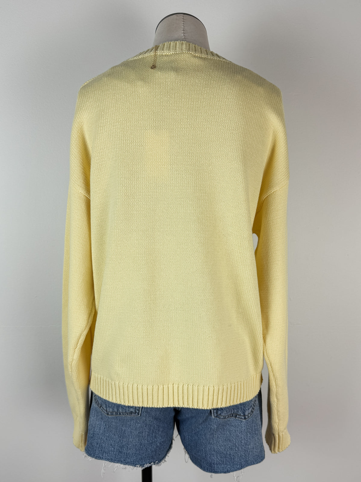 Amy Fish Sweater in Lemon