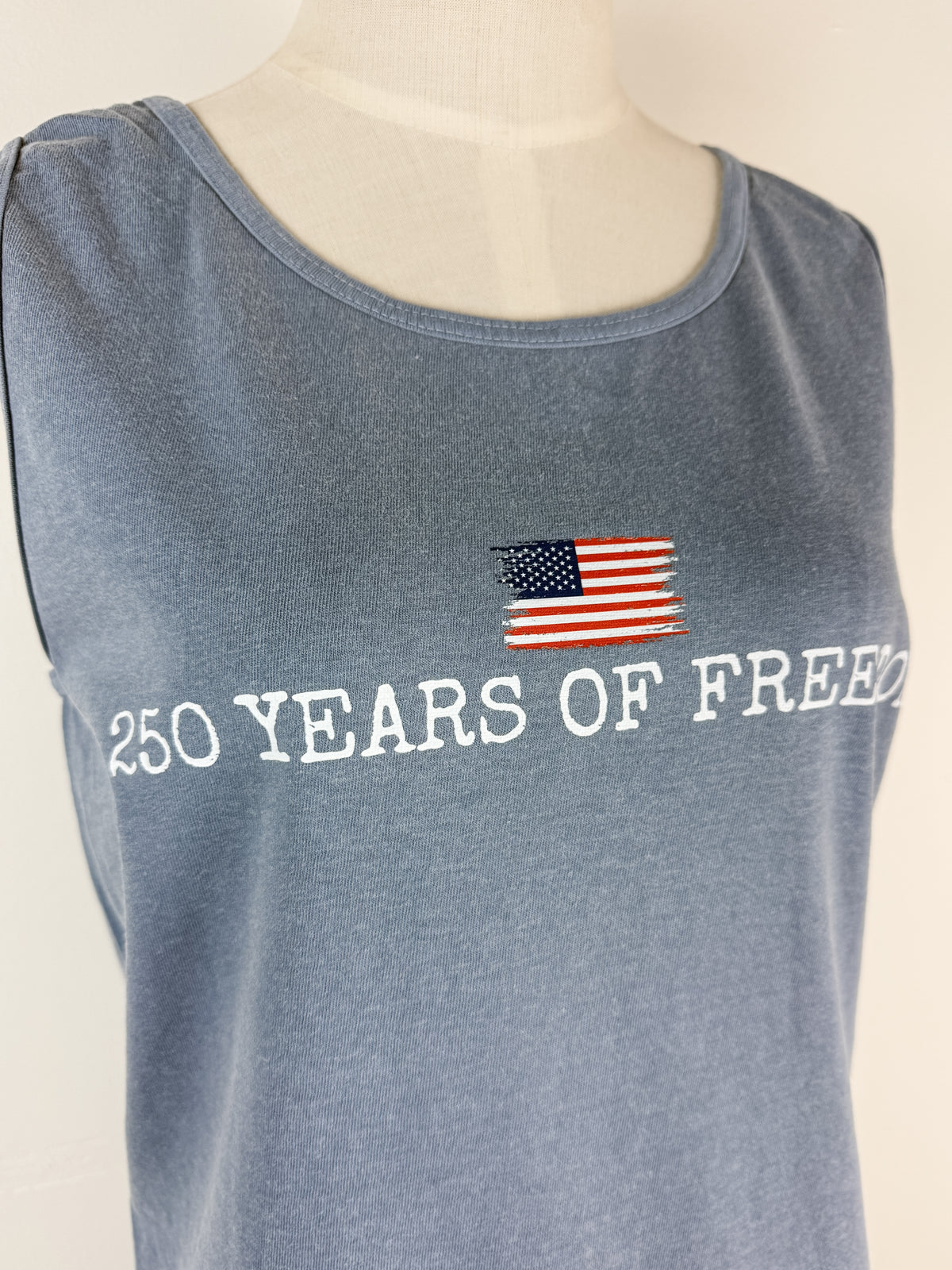 250 Years of Freedom Tank in Washed Navy