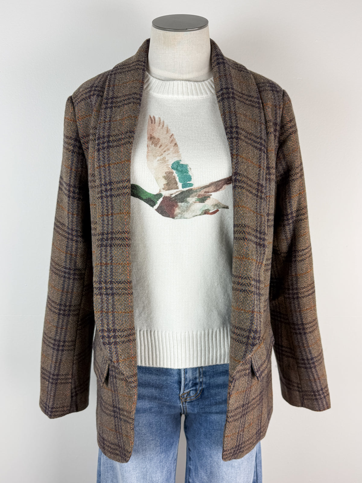Raya Plaid Blazer in Brown Mix