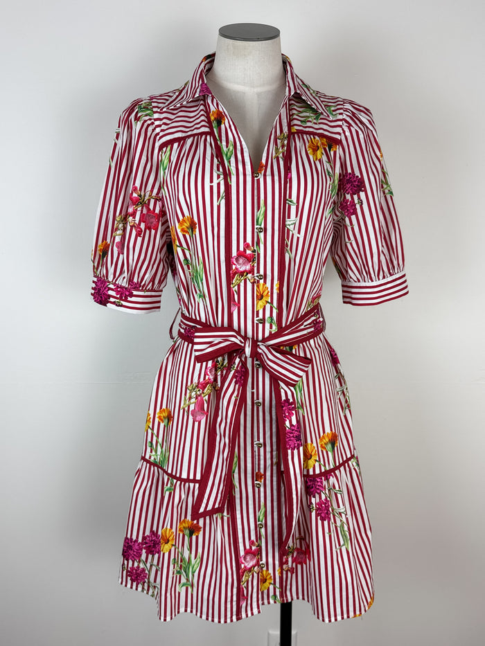 Hailey Striped Floral Dress in Red Mix