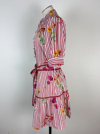 Hailey Striped Floral Dress in Red Mix