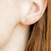 Linny Co. Cooper Screwback Stud Earrings