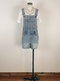 Judy Blue Distressed Overall